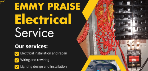 Emmy Praise Electrical Store